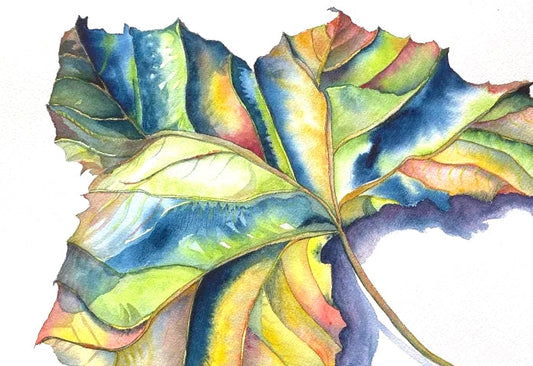 Ashland Art Works - Vibrant Watercolor Paintings, Ruth Halpern