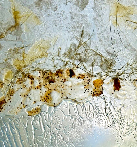 Ashland Art Works - Annual Member Exhibition