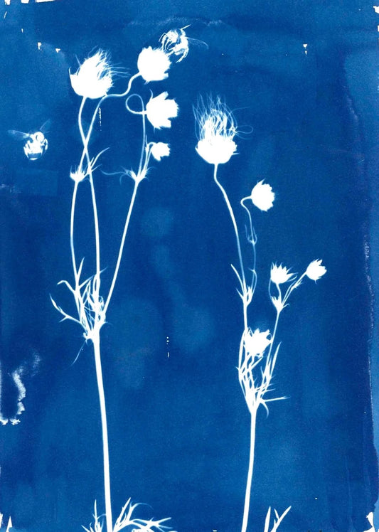 Enclāve Studios - Pollination: Beyond the Bloom, A Spring Fundraising Gala