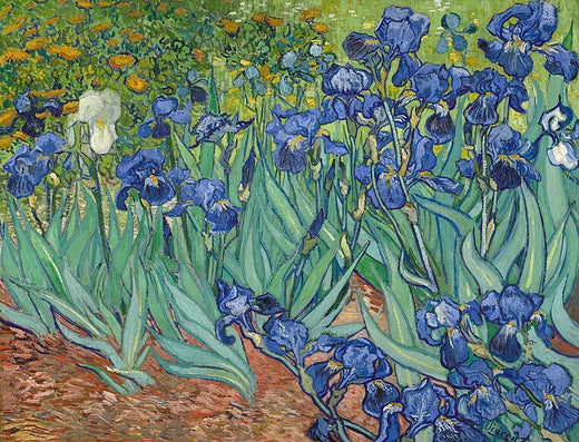 Grants Pass Museum of Art - Paint Like Van Gogh with JoAnne Stevens