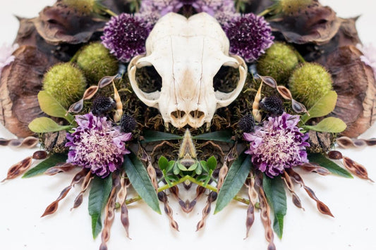 KS Wild - Rachel Pellow, Bhaktibee Art