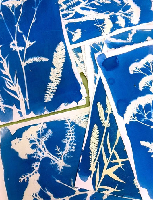 Scavenger Studios - Cyanotype Printing with Vanessa Jo Bahr