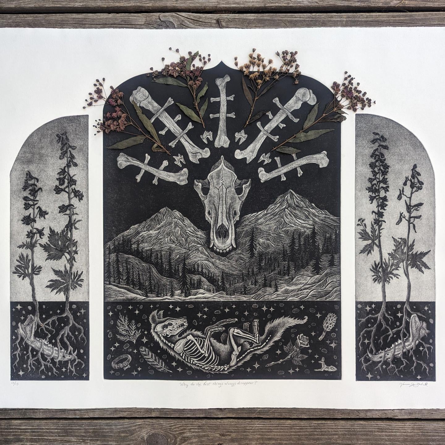 (B) Scavenger Studios - Vanessa Jo Bahr