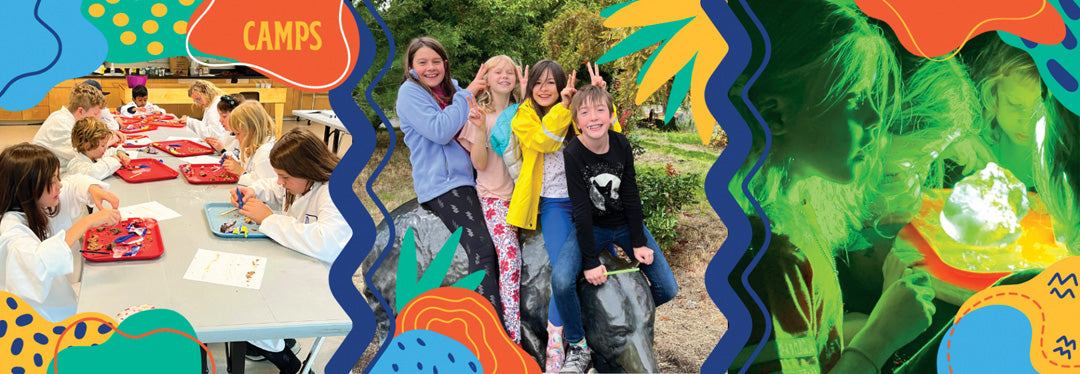ScienceWorks Hands-On Museum