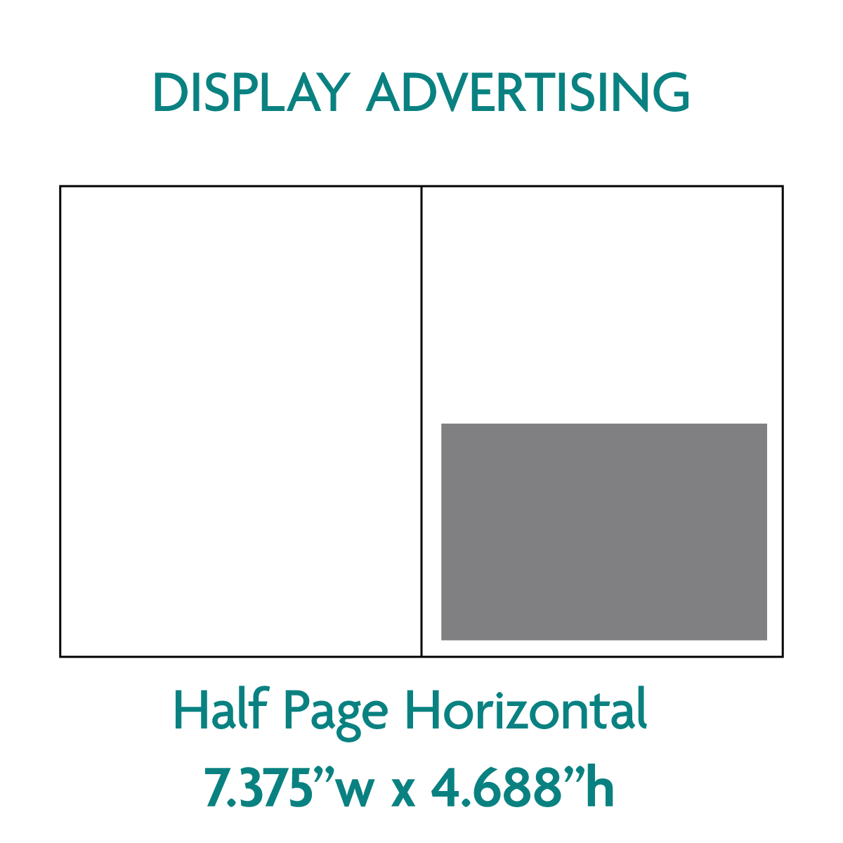 2025 Gallery Guide Display Ads (Artist Member Rates)