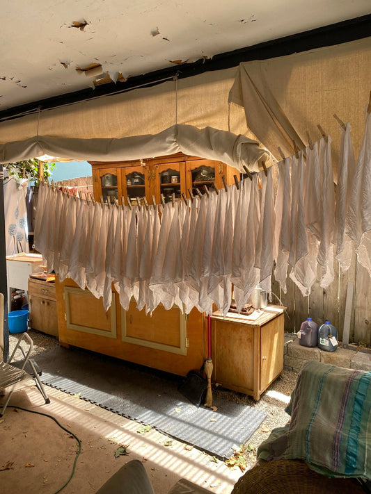 Magical Botanical Studio - Natural Dyeing Deep Dive with Sunny Lindley