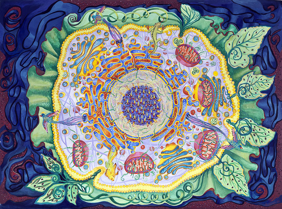 Mountain Meadows Artists